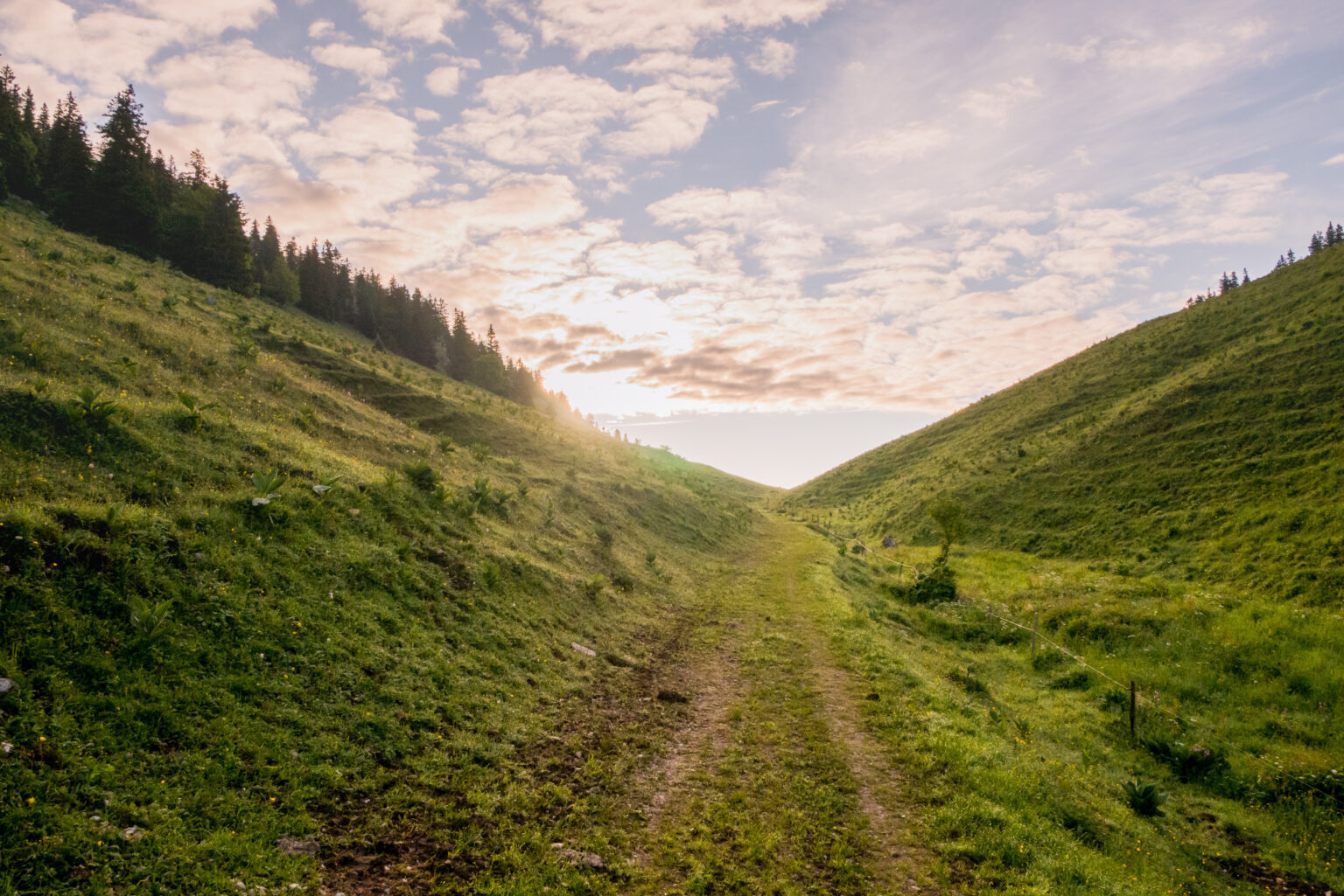 Landscape Chasseral